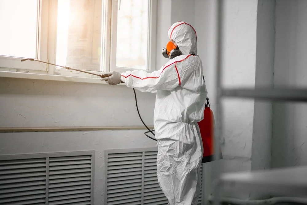 Professional mold remediation services in Jackson, WI